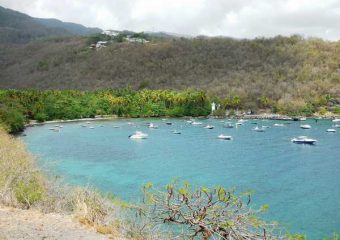 Vue sur l’Anse à la Barque, Guadeloupe