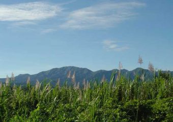 Vue sur le massif montagneux de la Basse-Terre, Guadeloupe