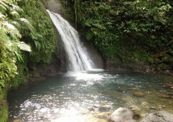 Vue sur la Cascade aux Ecrevisses, Guadeloupe