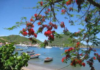 Baie principale de Terre de Haut, Les Saintes