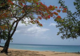 Vue sur la baie de Grande Anse, Deshaies