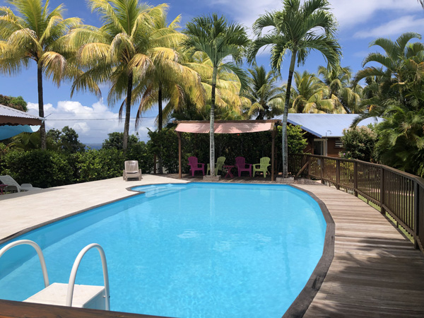 Piscine et pergola