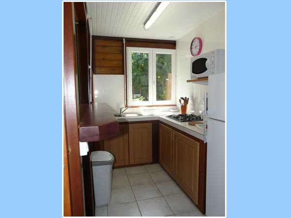 The spacious and bright kitchen, facing the garden