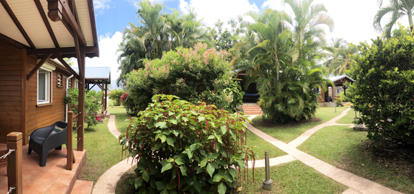 Les 4 gîtes au milieu du jardin tropical.
