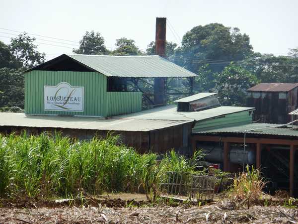 The Longueteau Distillery, close to your holiday rental in Guadeloupe