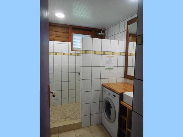 The bathroom with walk-in shower and washing machine