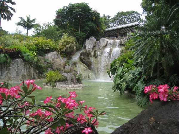 Vue sur la cascade du jardin botanique, Deshaies, Guadeloupe.