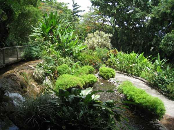 Au gré des allées du jardin botanique de Deshaies, Guadeloupe.