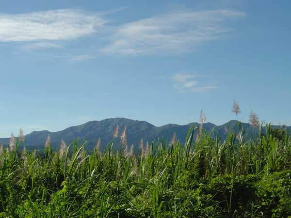 Montagnes de la Basse-Terre prèss de votre location de vacances en Guadeloupe
