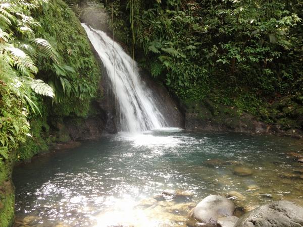 Vue sur la Cascade aux Ecrevisses, Guadeloupe.